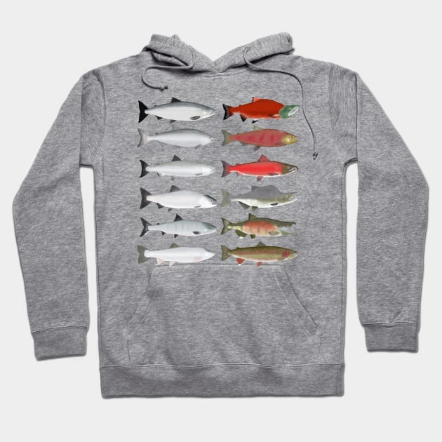 Pacific Ocean Salmon - Ocean and Spawn Stages Hoodie by FishFolkArt